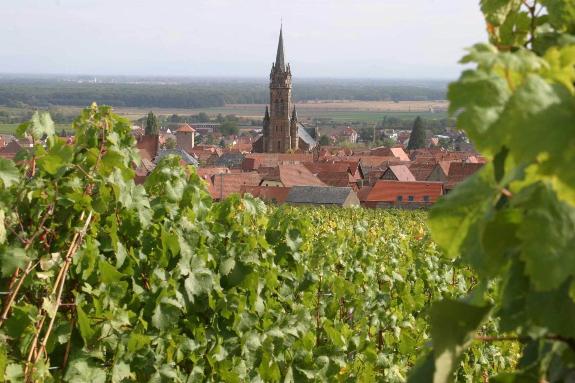Chambres d'hôtes Ruhlmann Dambach-la-Ville Exterior foto
